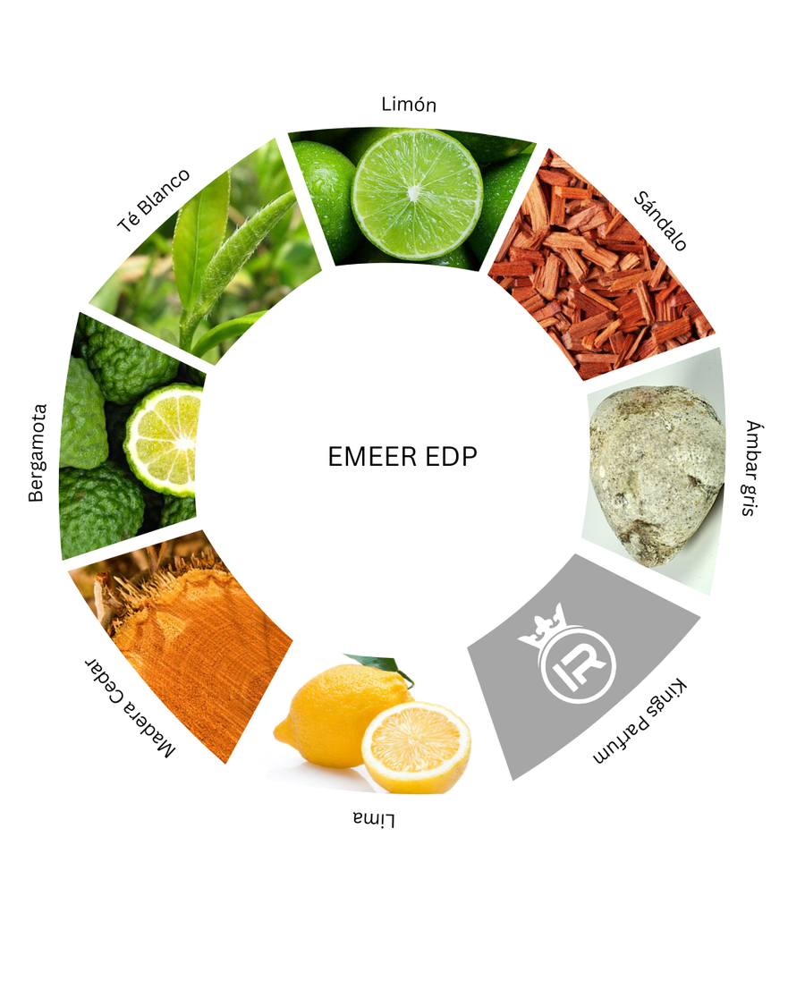Notas olfativas de Emeer EDP