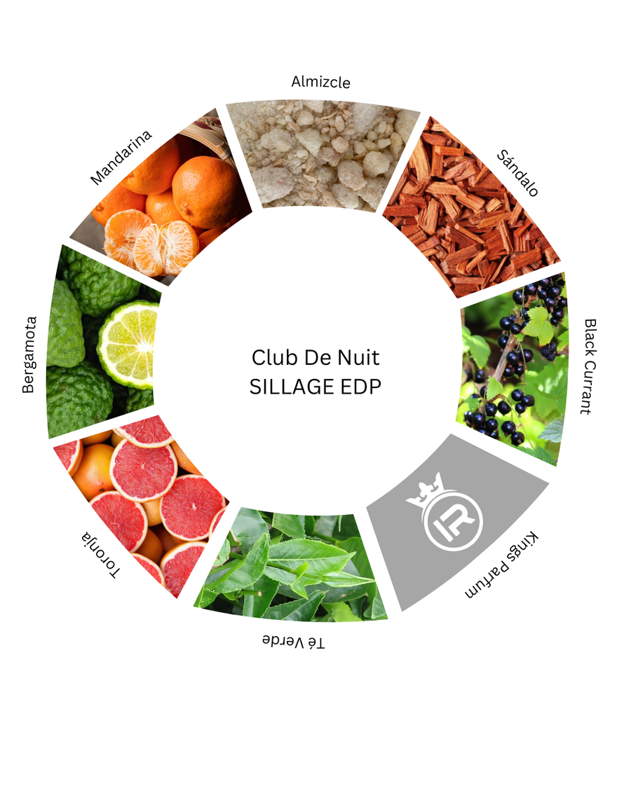 Notas olfativas de Club De Nuit SILLAGE EDP