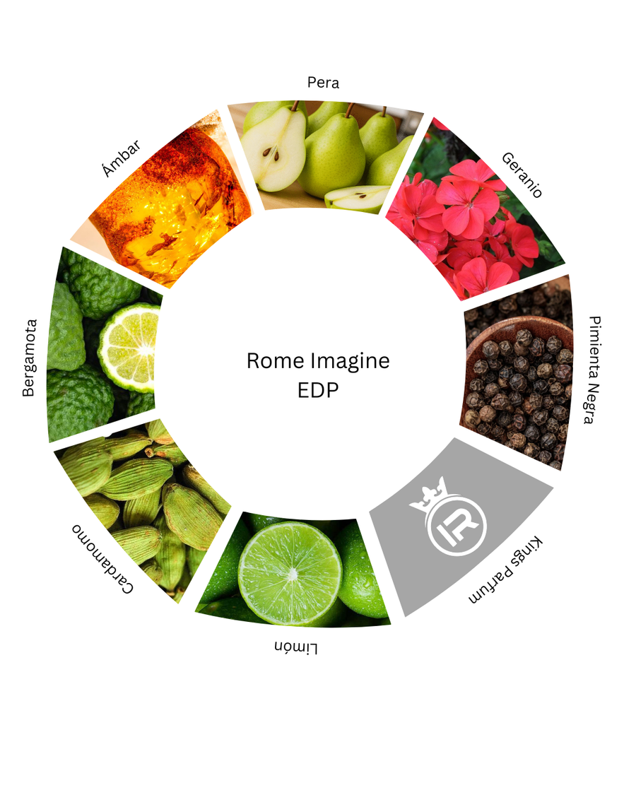 Notas olfativas de Rome Imagine EDP