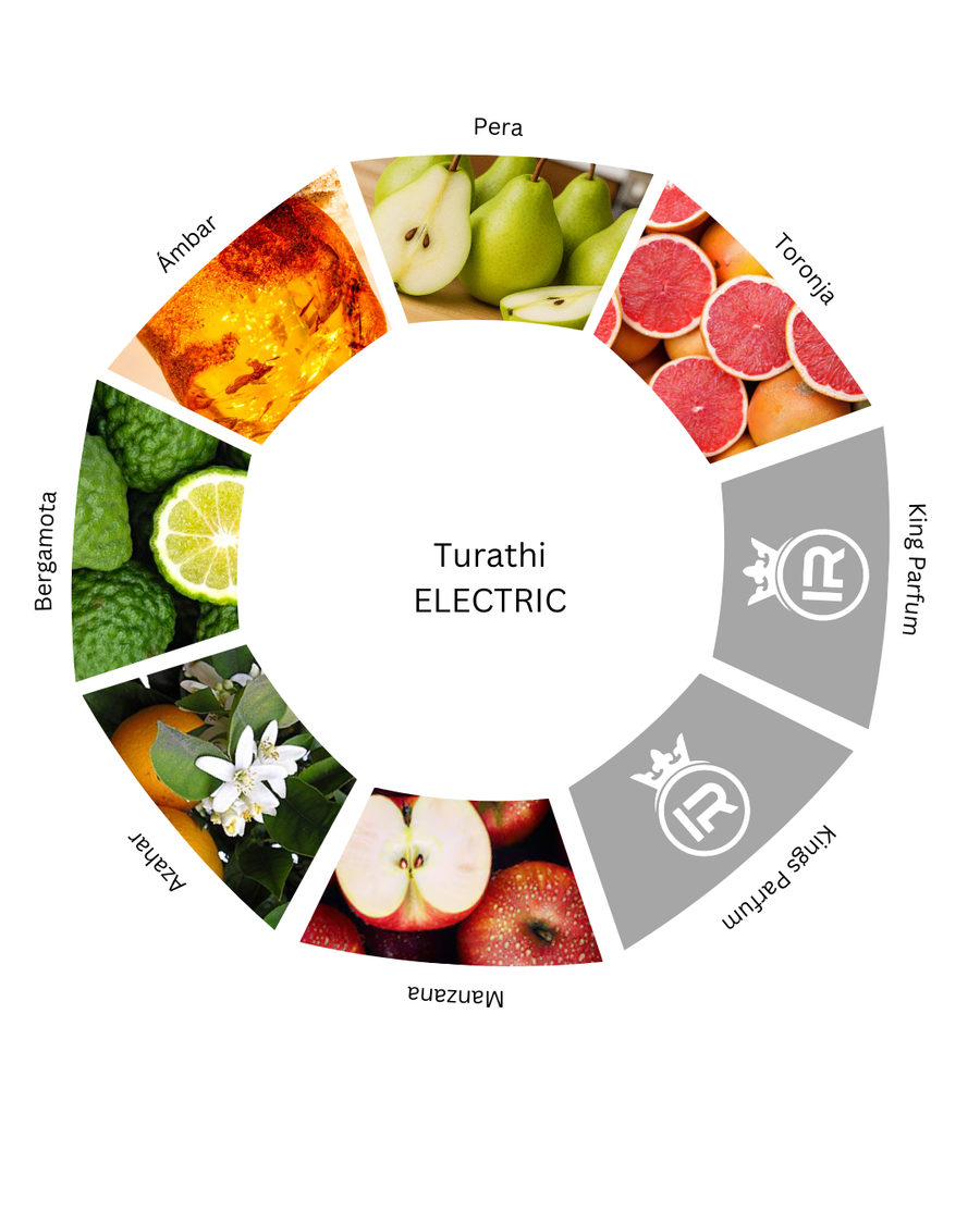 Notas olfativas de Turathi Electric