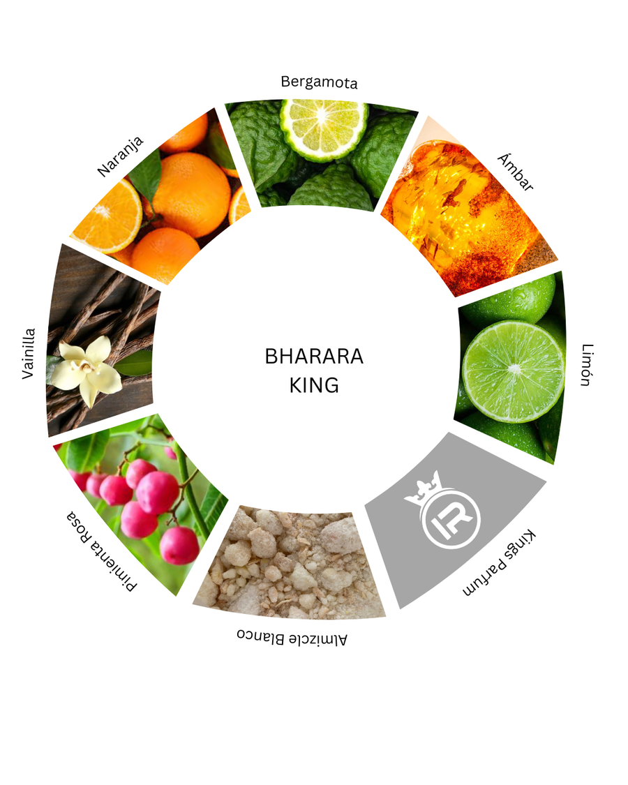 Notas olfativas de Bharara King