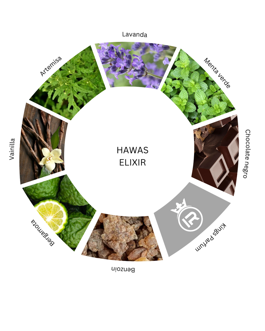 Notas olfativas de Hawas Elixir