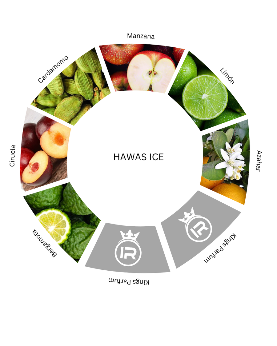Notas olfativas de Hawas Ice