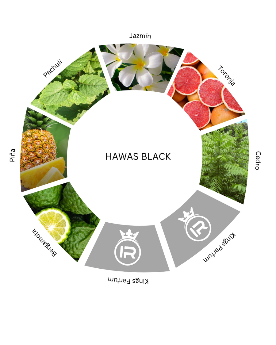 Notas olfativas de Hawas Black