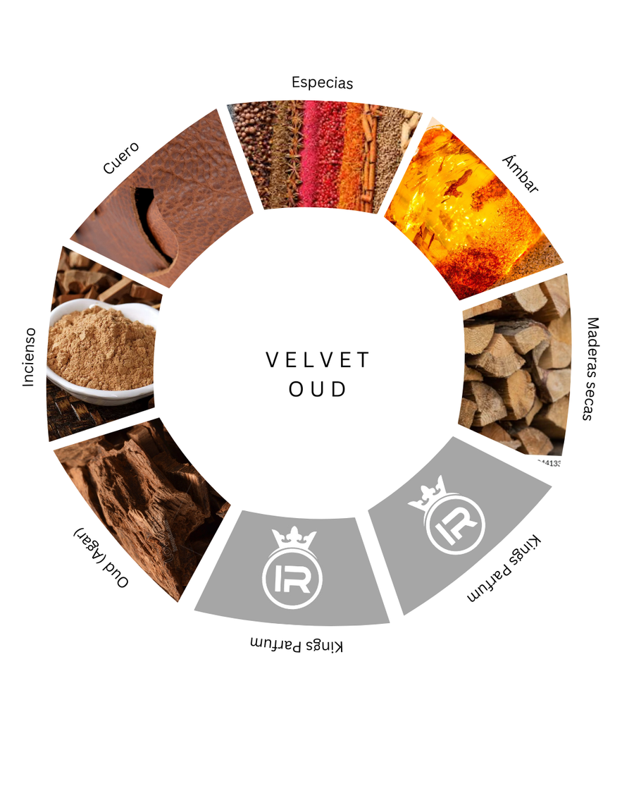 Notas olfativas de Velvet Oud