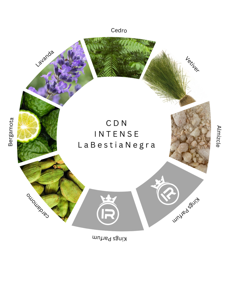 Notas olfativas de CDN Intense La Bestia Negra