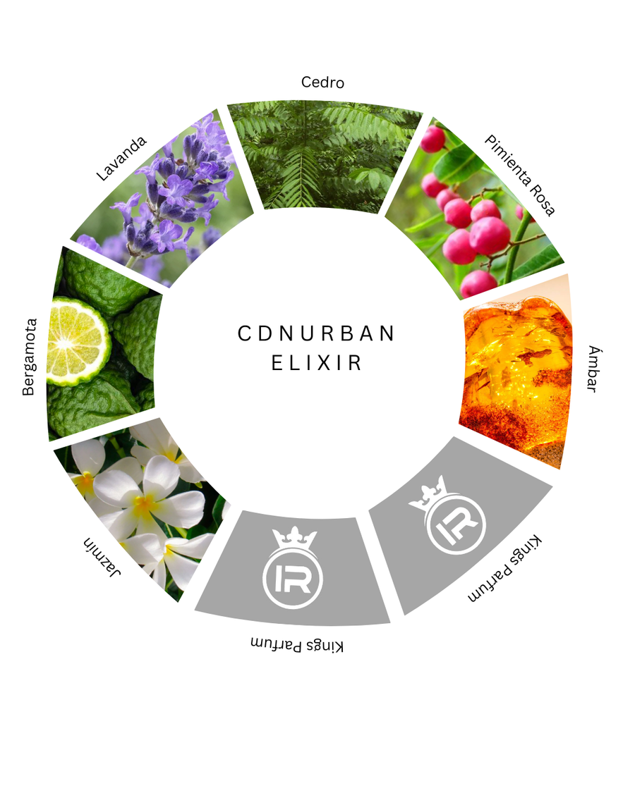 Notas olfativas de CDN Urban Elixir