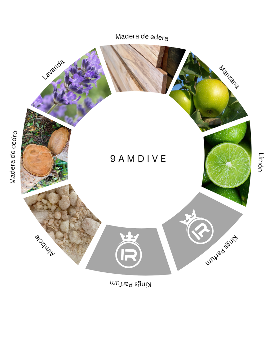 Notas olfativas de 9am Dive