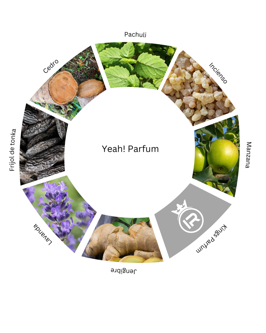 Notas olfativas de Yeah! Parfum