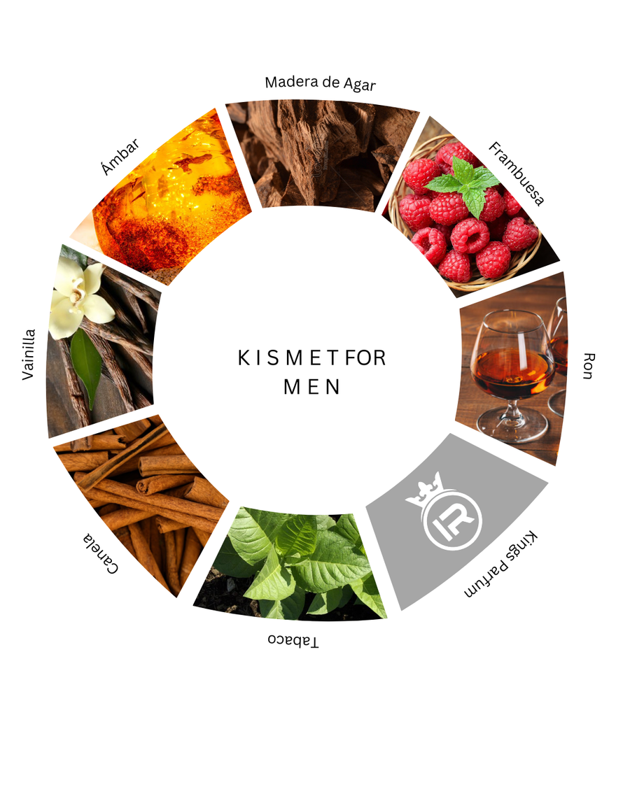 Notas olfativas de Kismet For Men