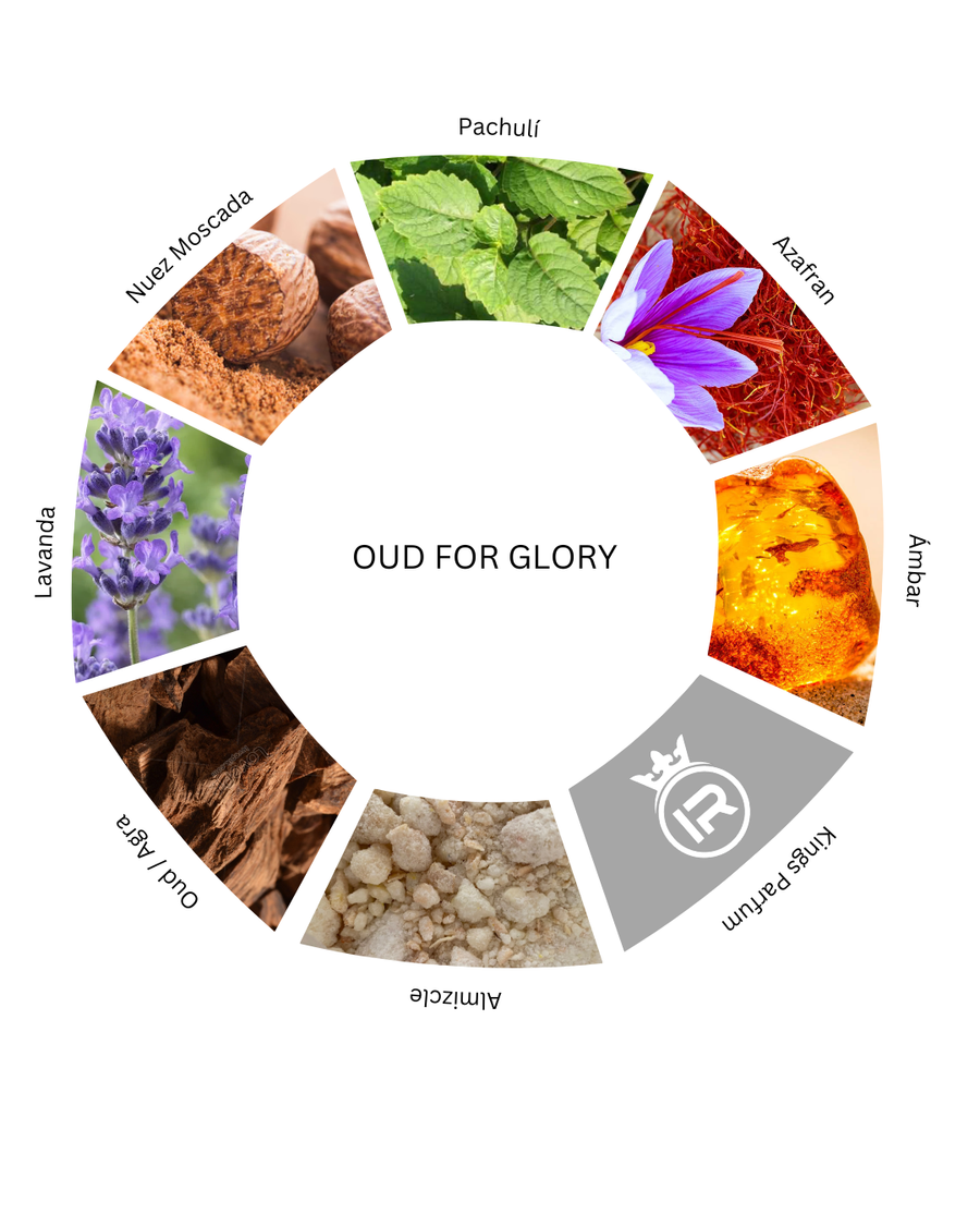 Notas olfativas de Oud For Glory