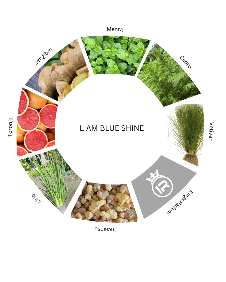 Notas olfativas de Liam Blue Shine
