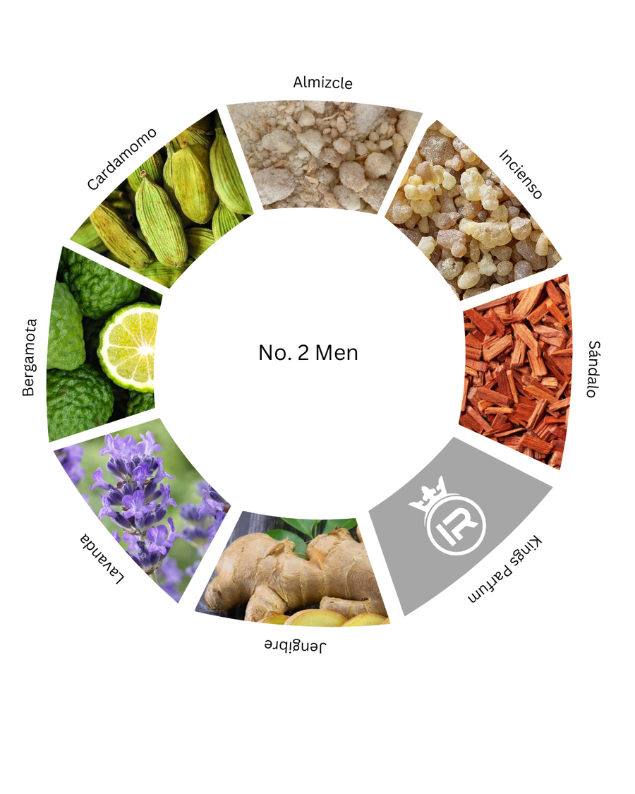 Notas olfativas de No.2 Men