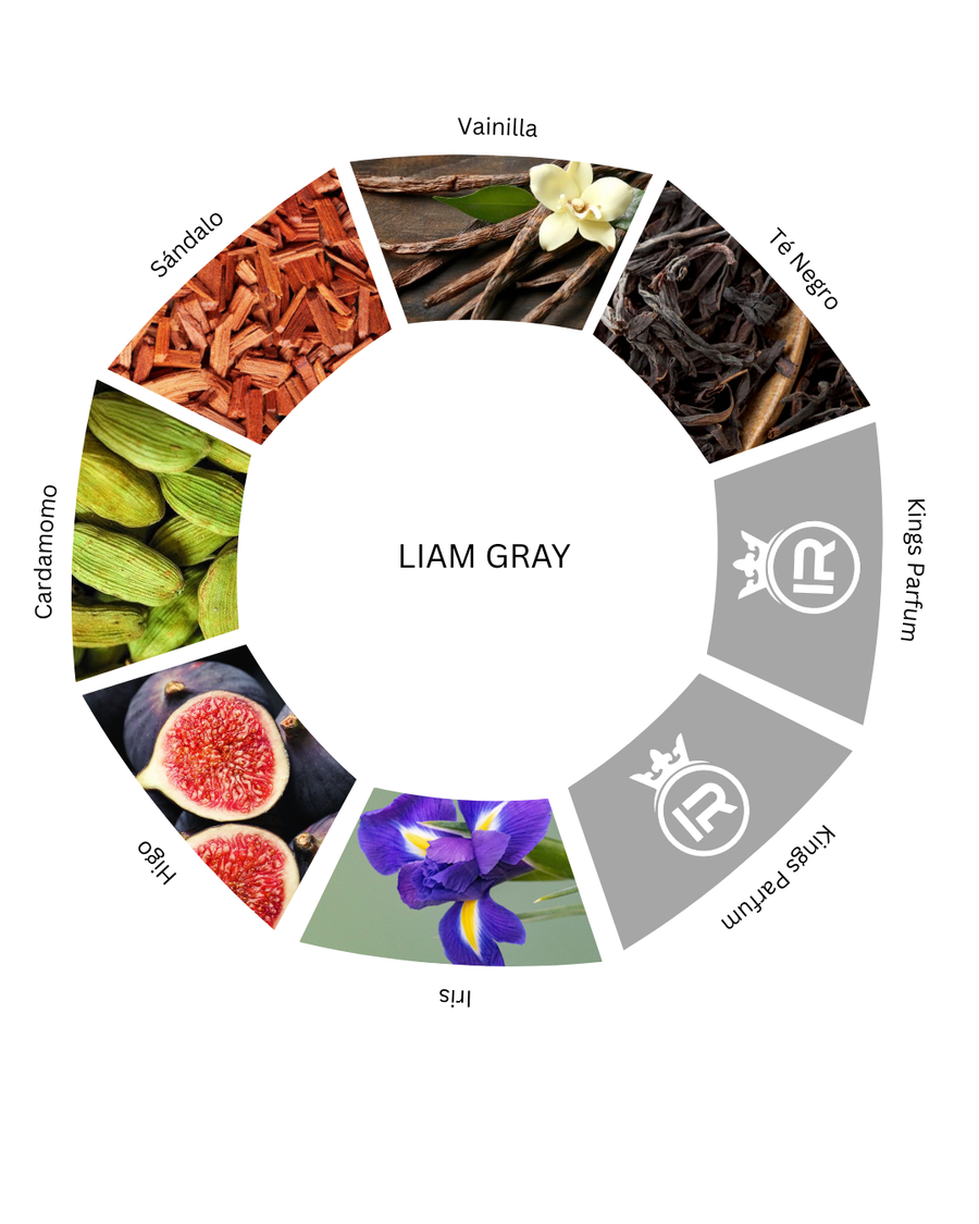 Notas olfativas de Liam Gray