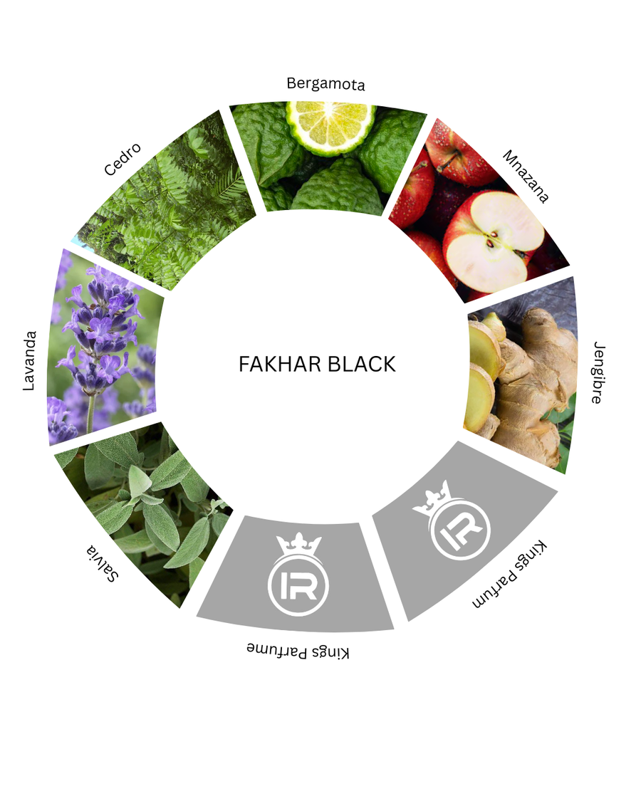 Notas olfativas de Fakhar Black