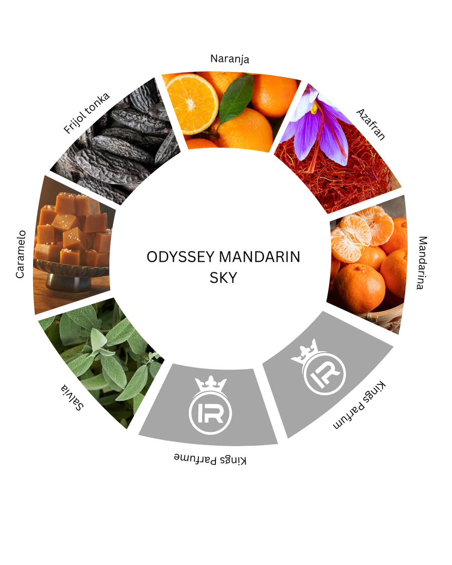 Notas olfativas de Odyssey Mandarin Sky