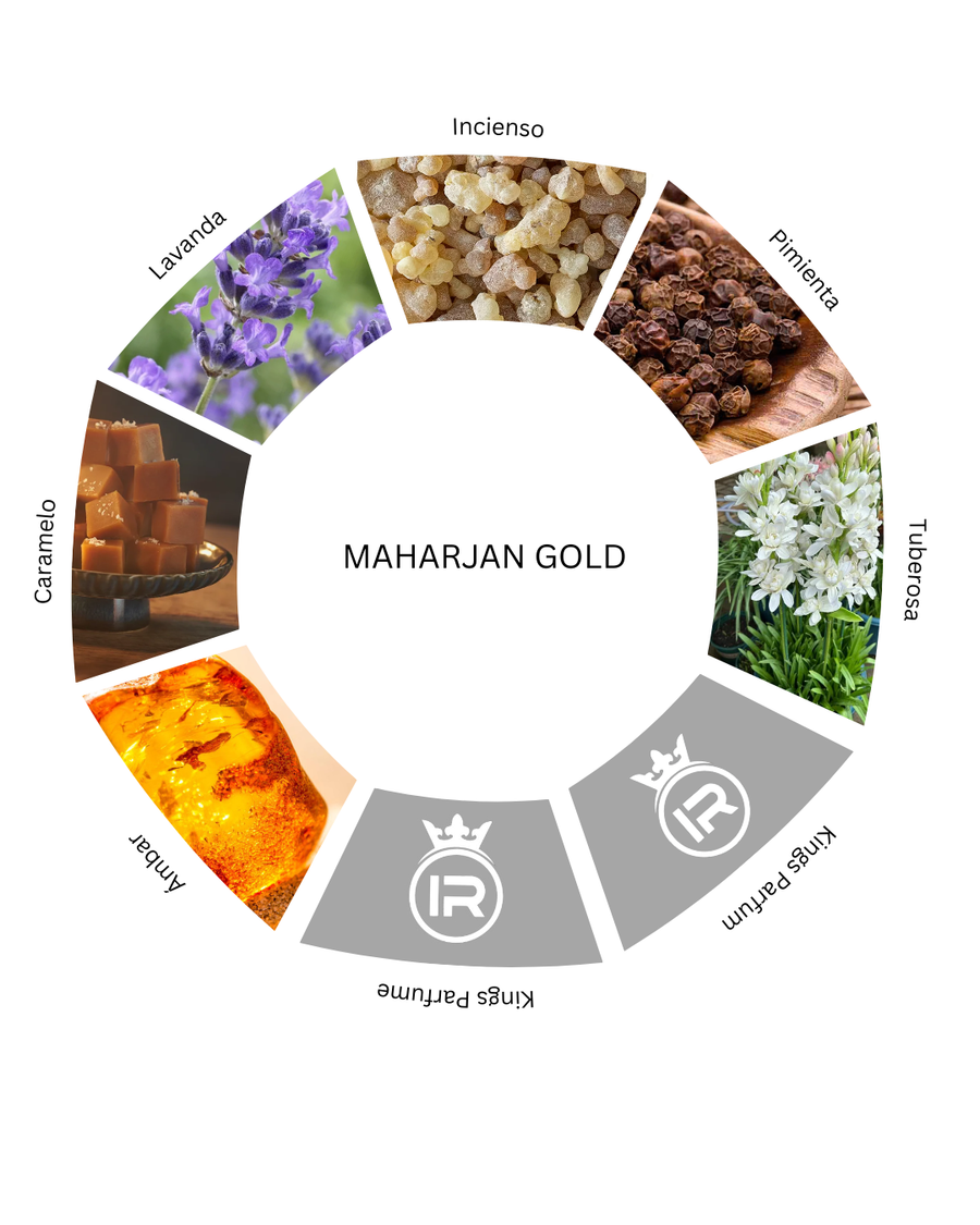 Notas olfativas de Maharjan Gold