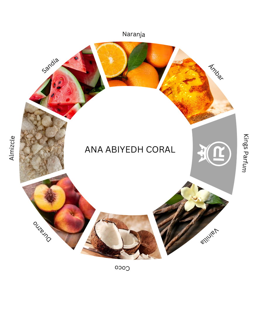 Notas olfativas de Ana Abiyedh Coral
