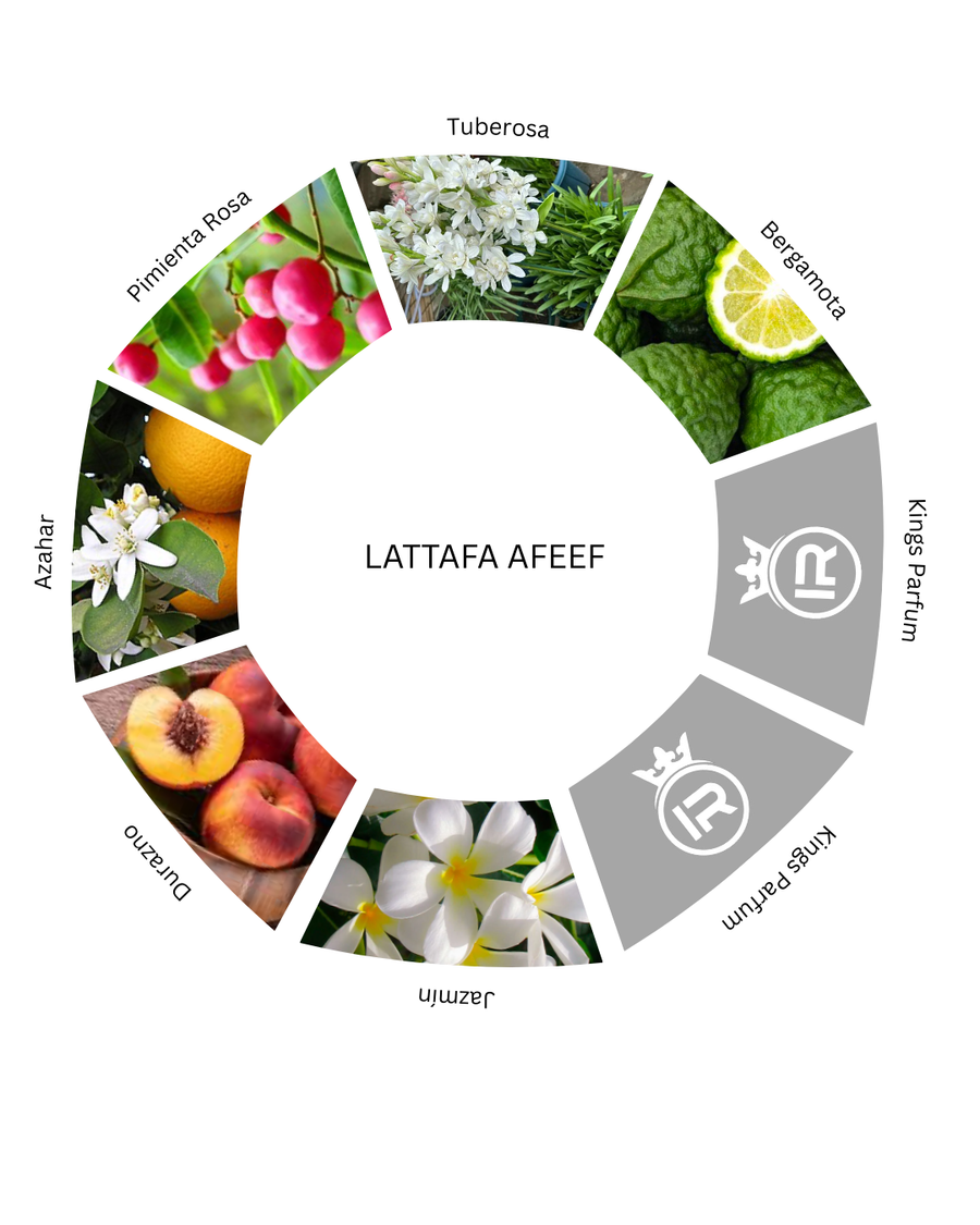 Notas olfativas de Lattafa Afeef