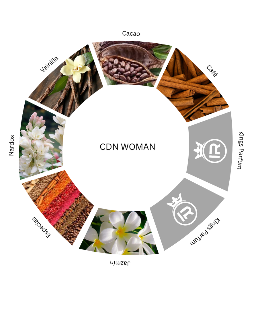 Notas olfativas de CDN Woman