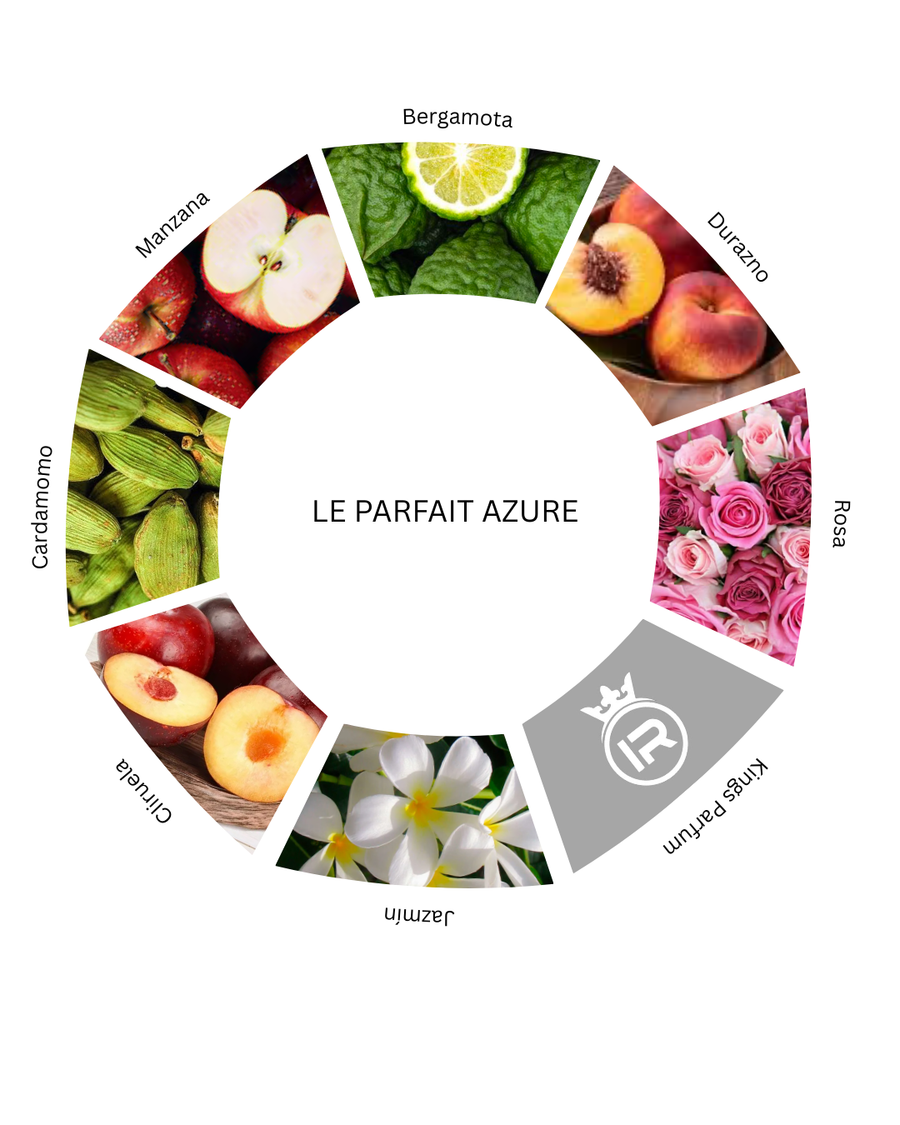 Notas olfativas de Le Parfait Azure