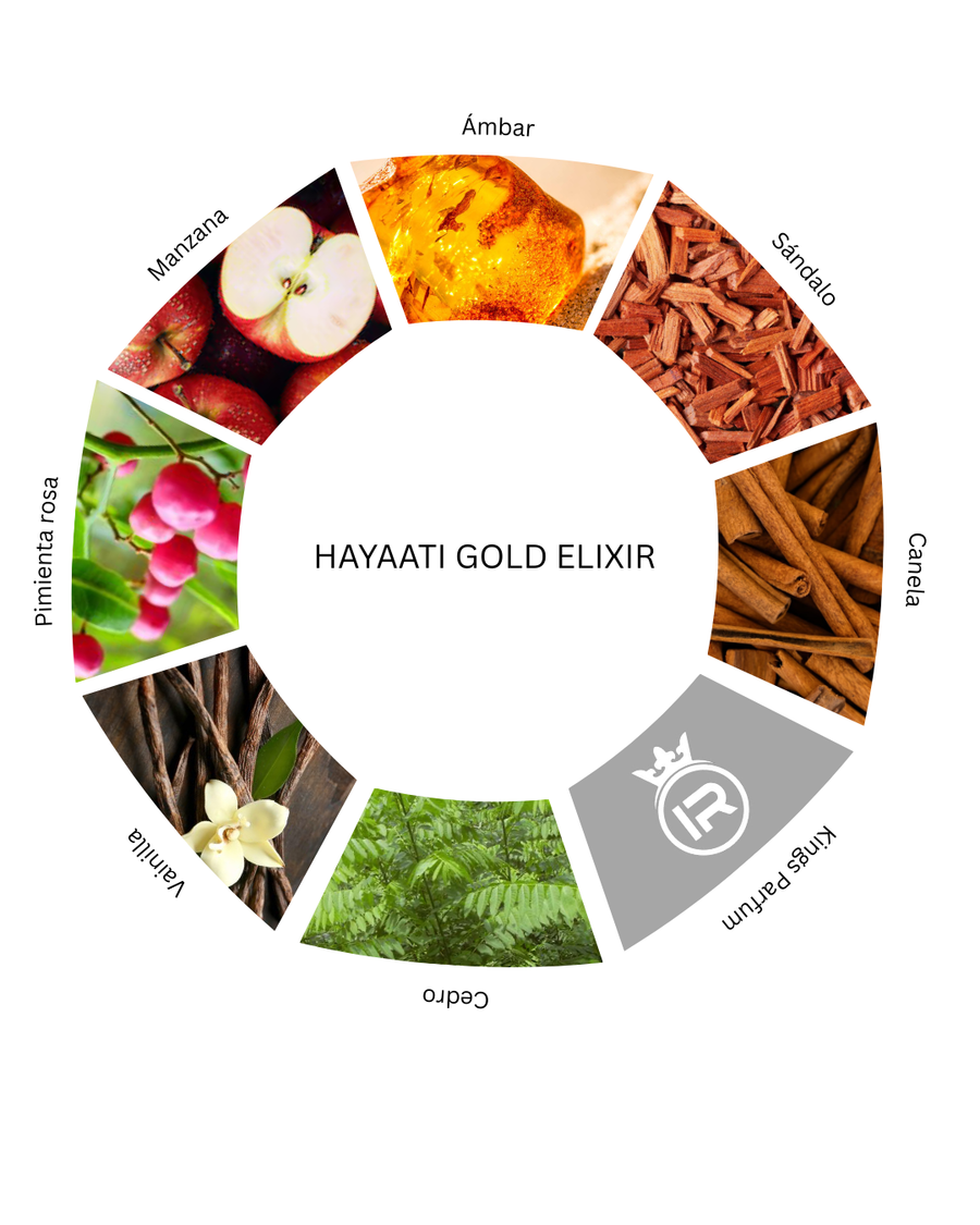 Notas olfativas de Hayaati Gold Elixir