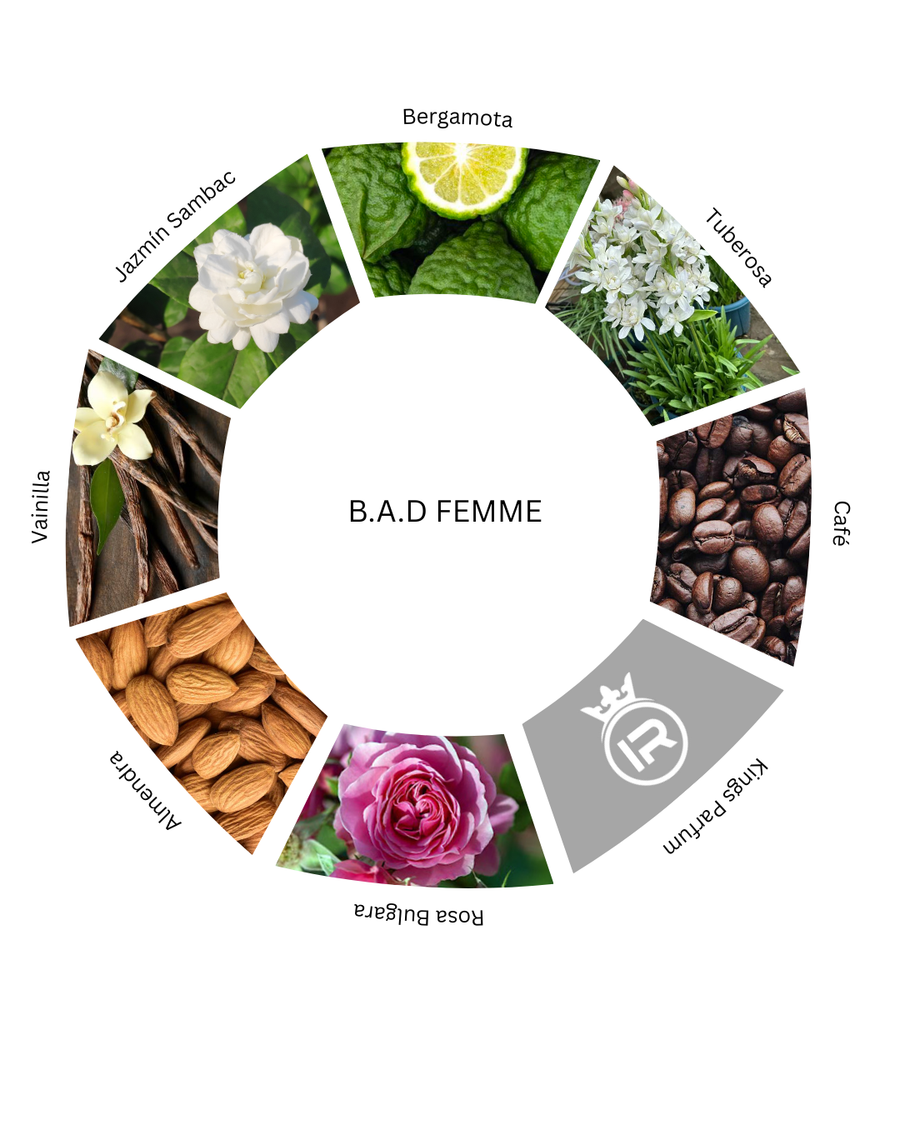 Notas olfativas de B.A.D Femme