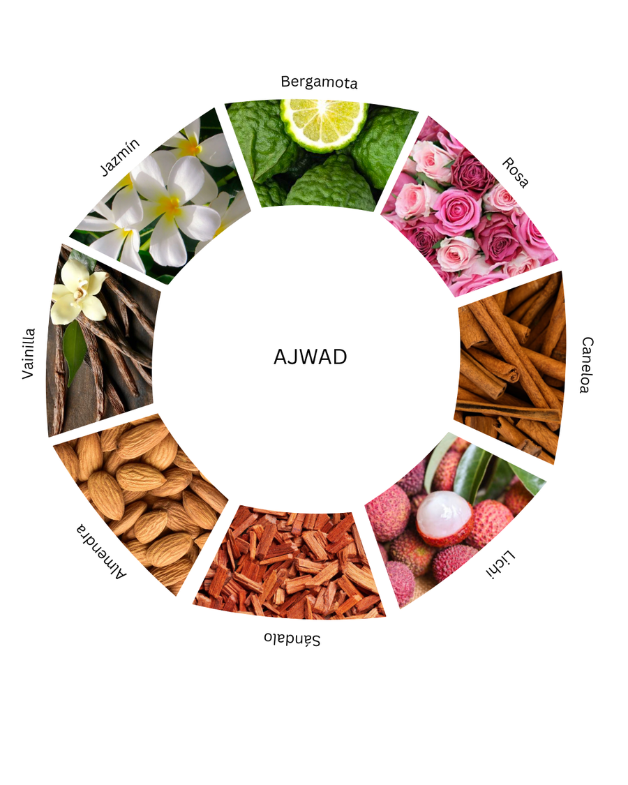 Notas olfativas de Ajwad