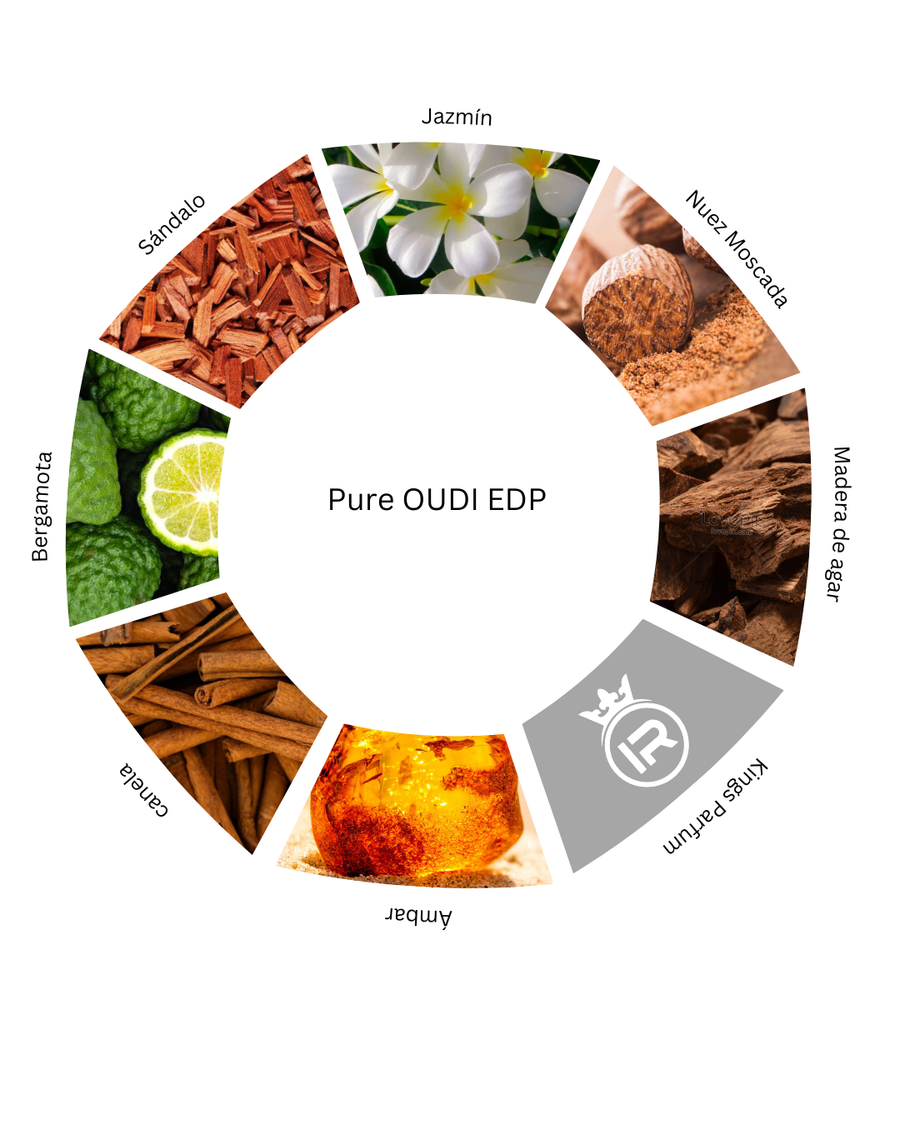 Notas olfativas de Pure Oudi EDP