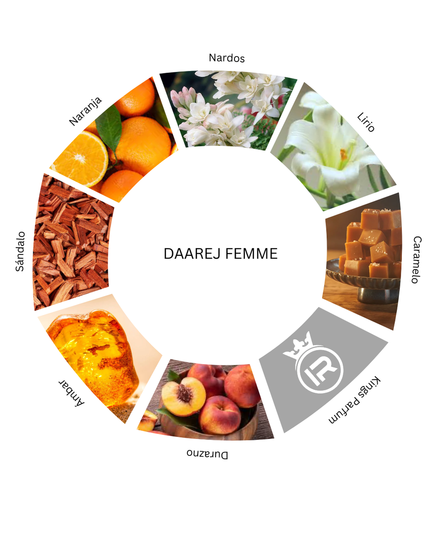Notas olfativas de Daarej Femme