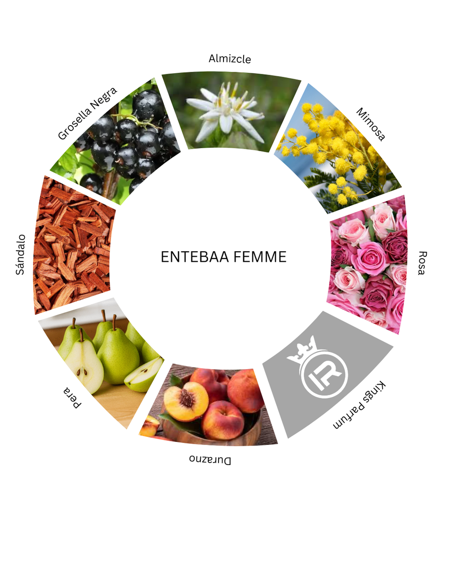 Notas olfativas de Entebaa Femme