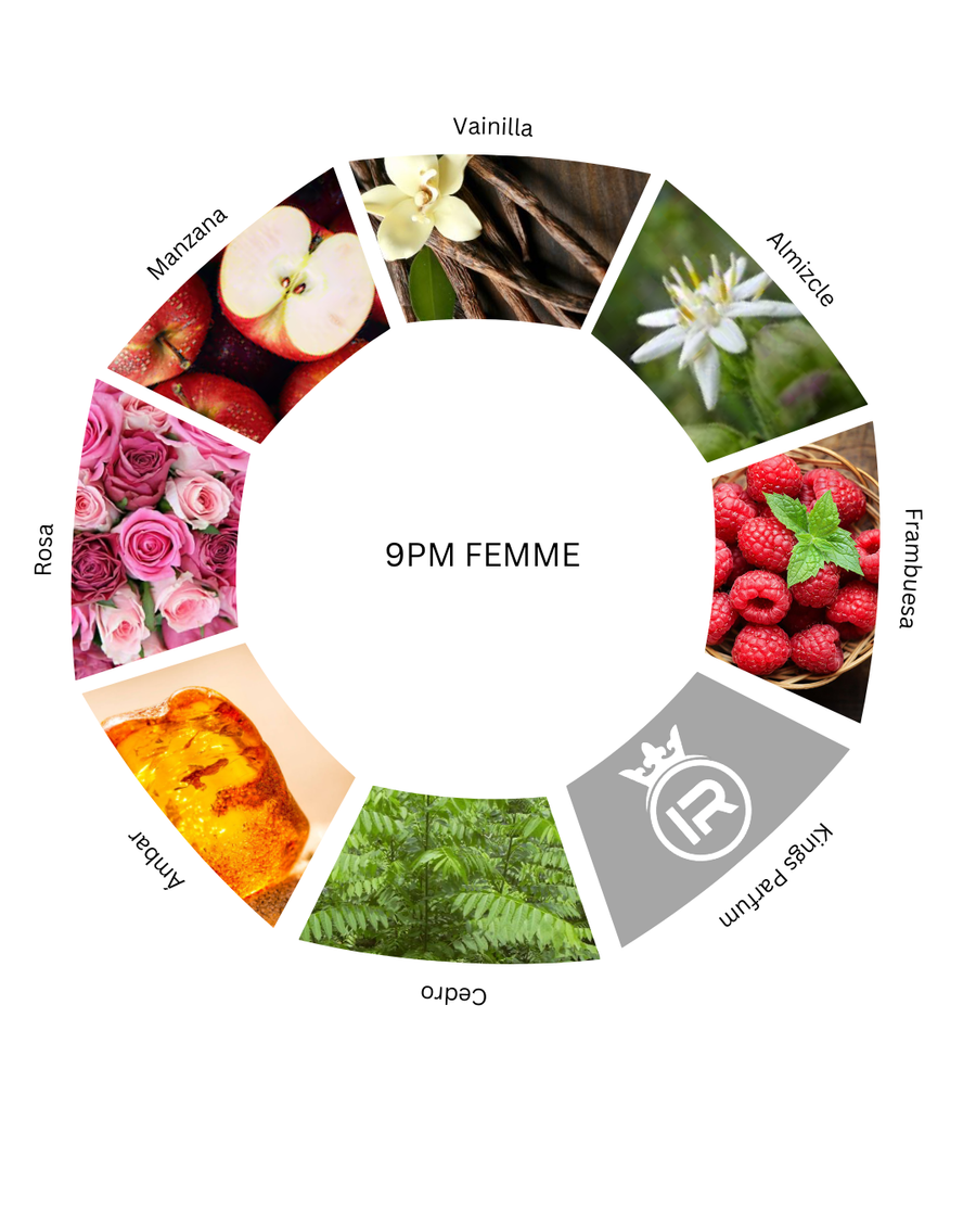 Notas olfativas de 9 pm Femme