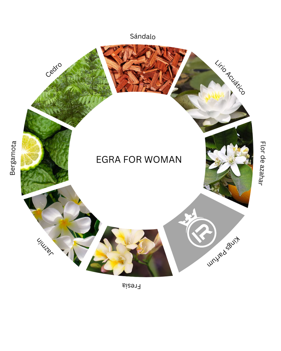 Notas olfativas de Egra For Women