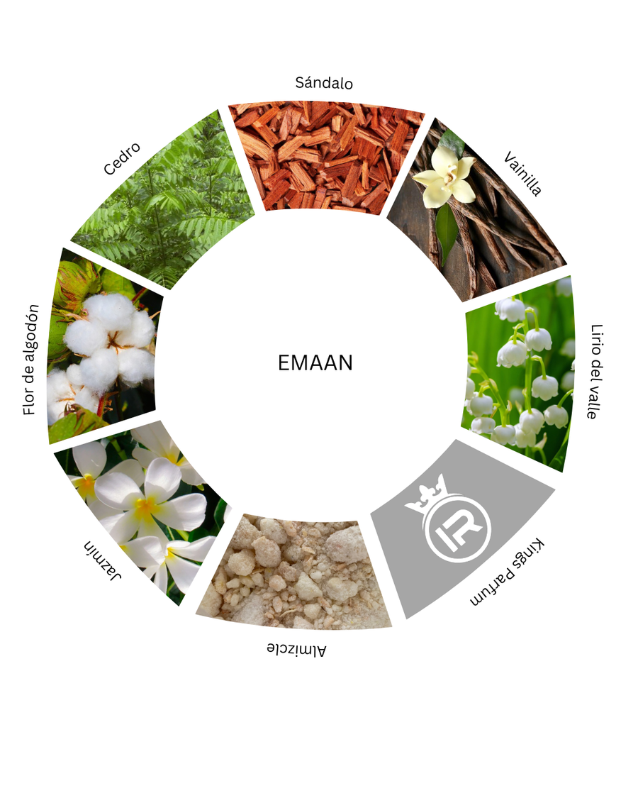 Notas olfativas de EMAAN