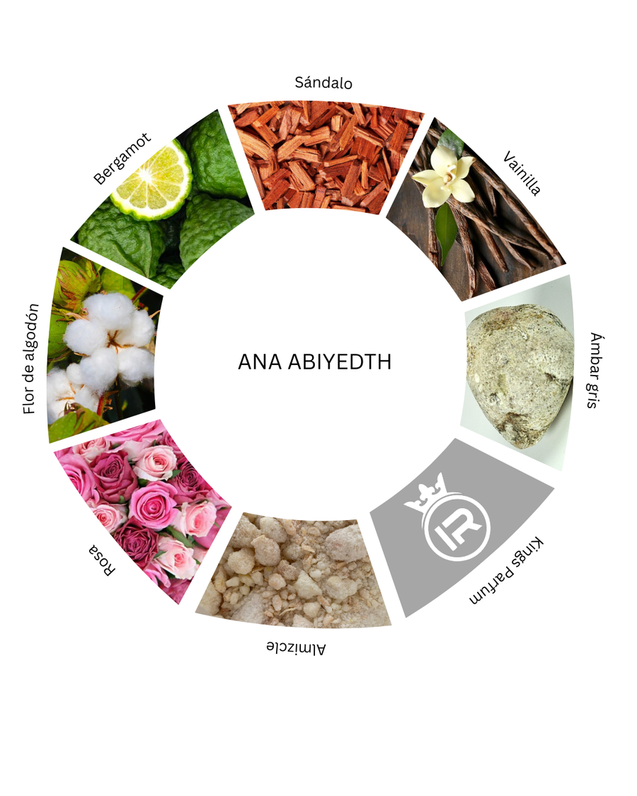Notas olfativas de Ana Abiyedth