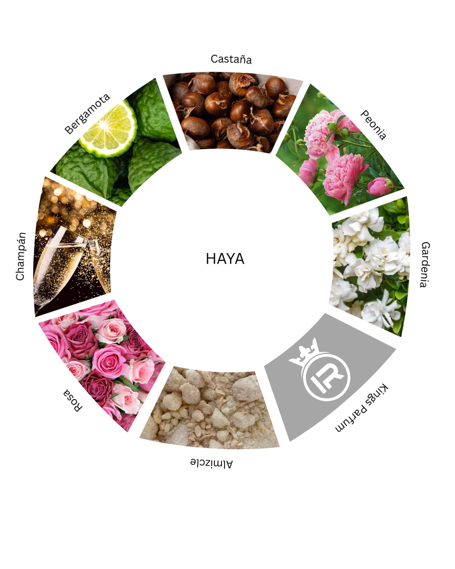 Notas olfativas de Haya
