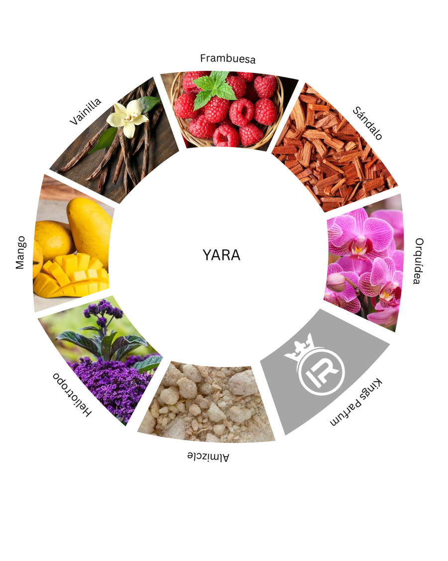 Notas olfativas de Yara