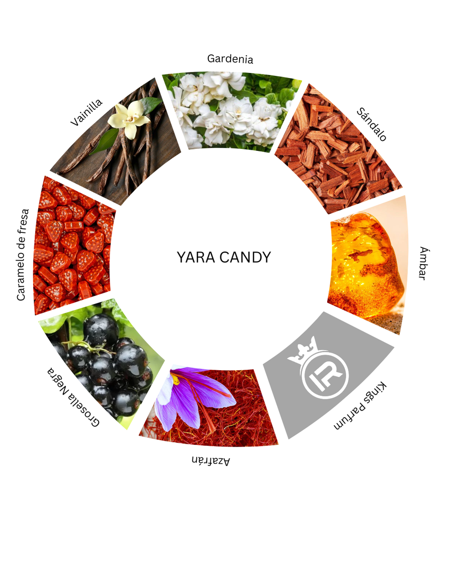 Notas olfativas de Yara Candy
