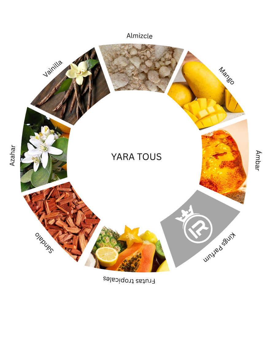 Notas olfativas de Yara Tous