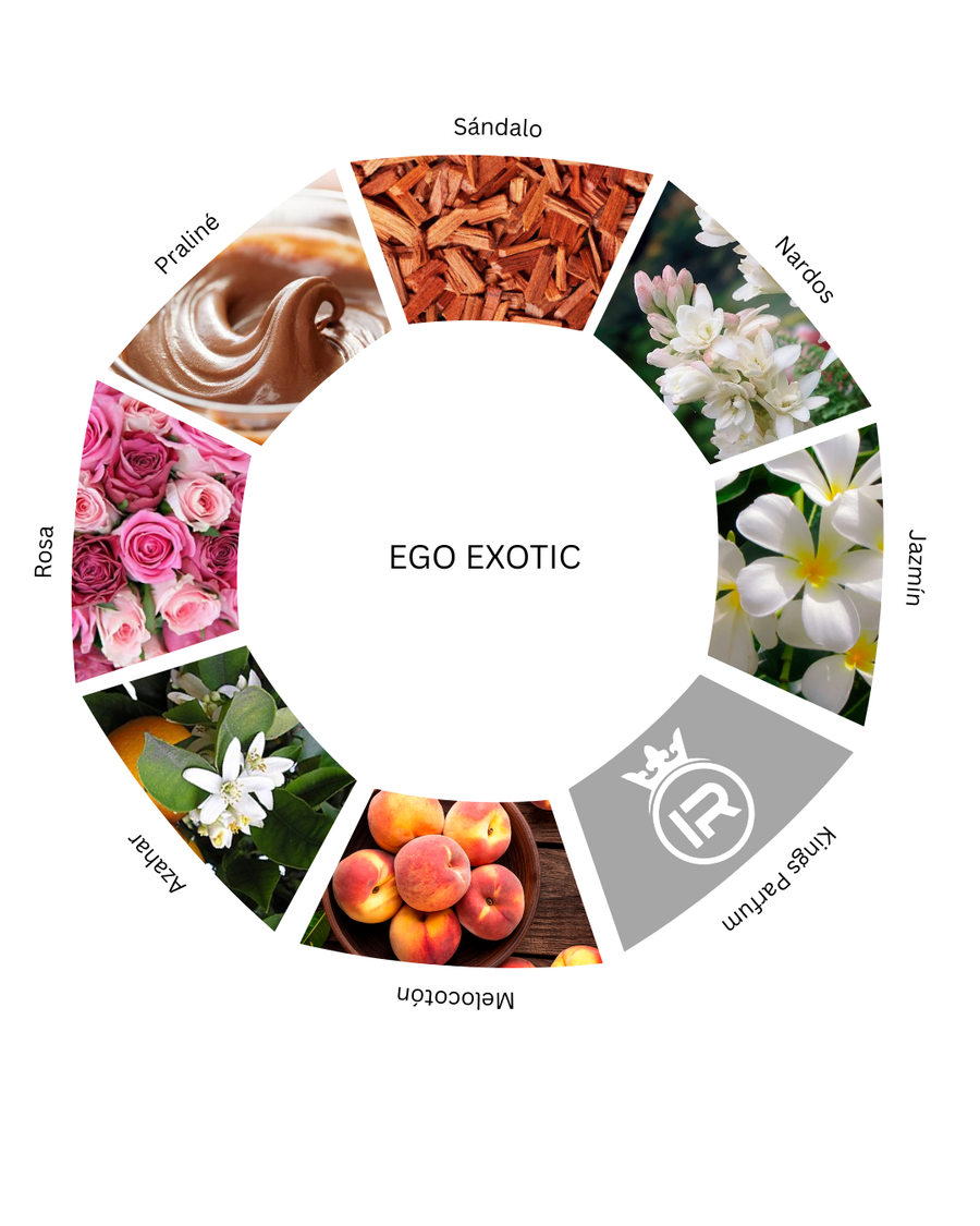 Notas olfativas de Ego Exotic
