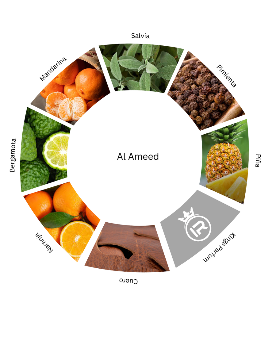 Notas olfativas de Al Ameed