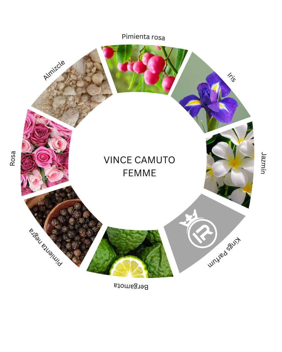 Notas olfativas de Vince Camuto Femme