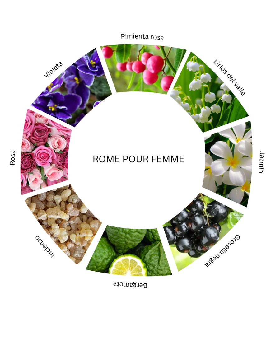 Notas olfativas de Rome Pour Femme