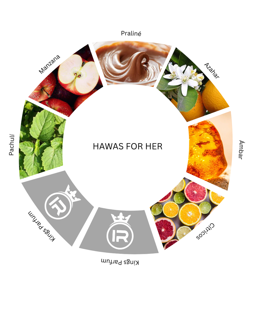 Notas olfativas de Hawas For Her