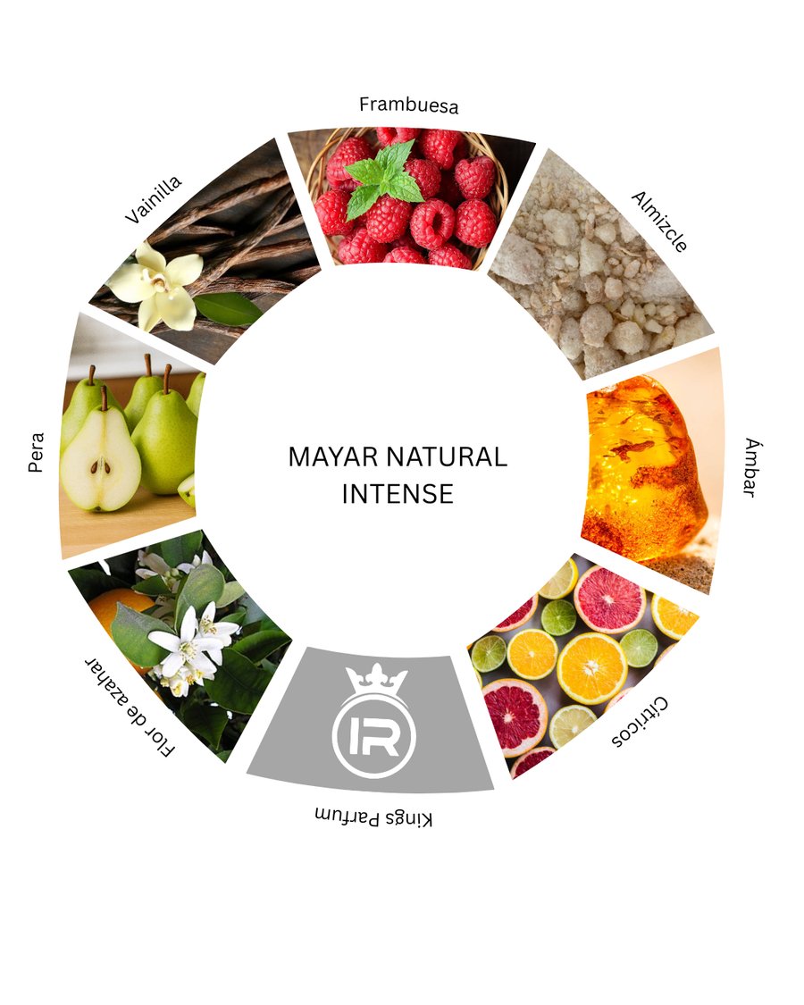 Notas olfativas de Mayar Natural Intense