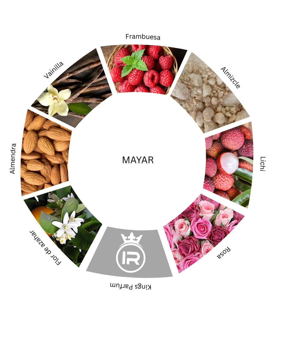 Notas olfativas de Mayar