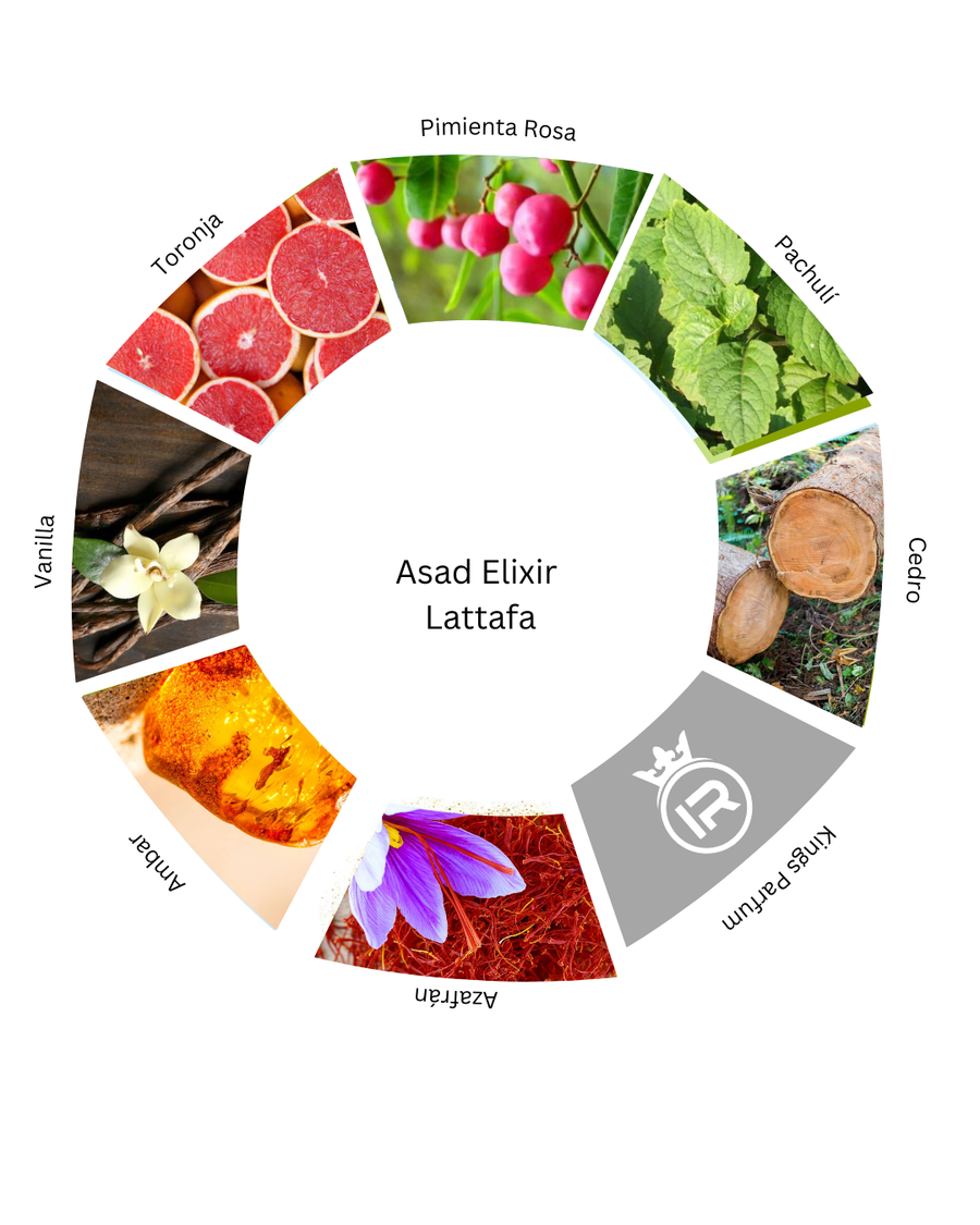 Notas olfativas de Asad Elixir Lattafa