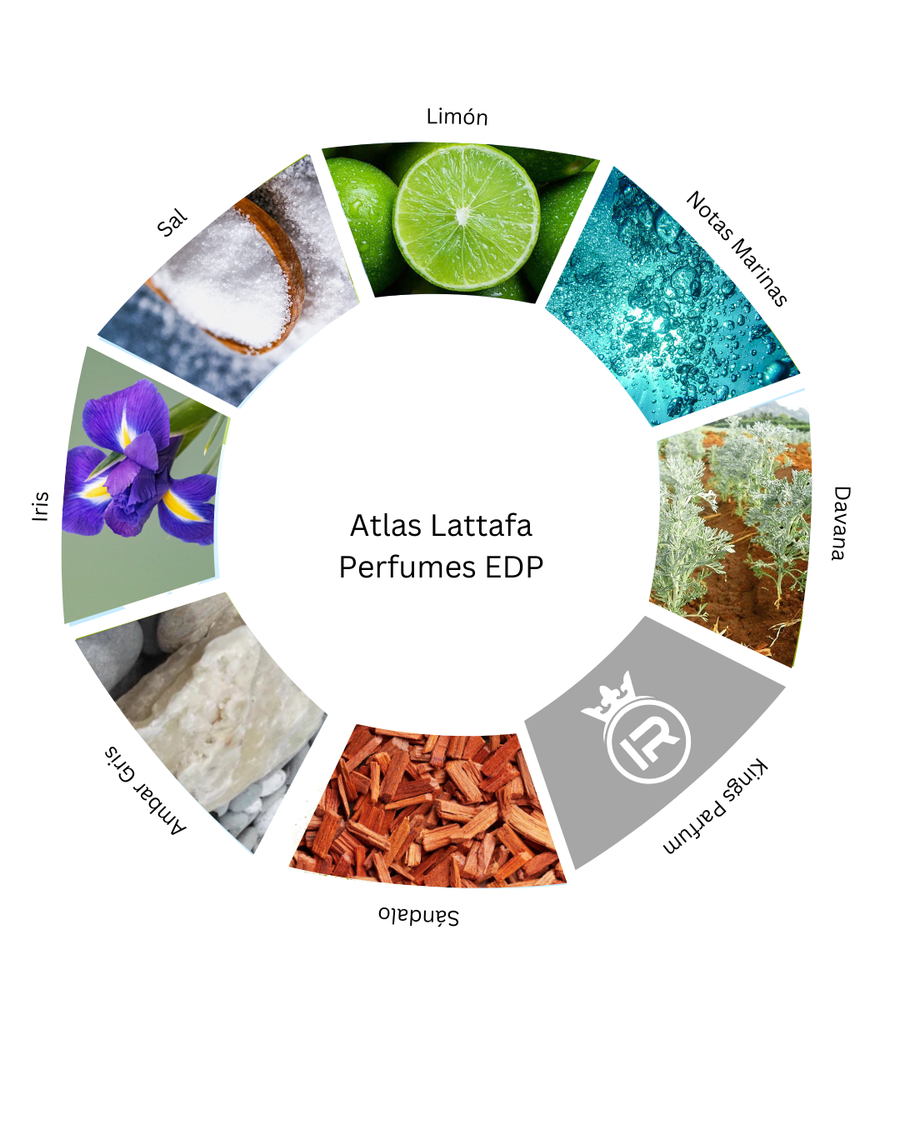 Notas olfativas de Atlas Lattafa Perfumes