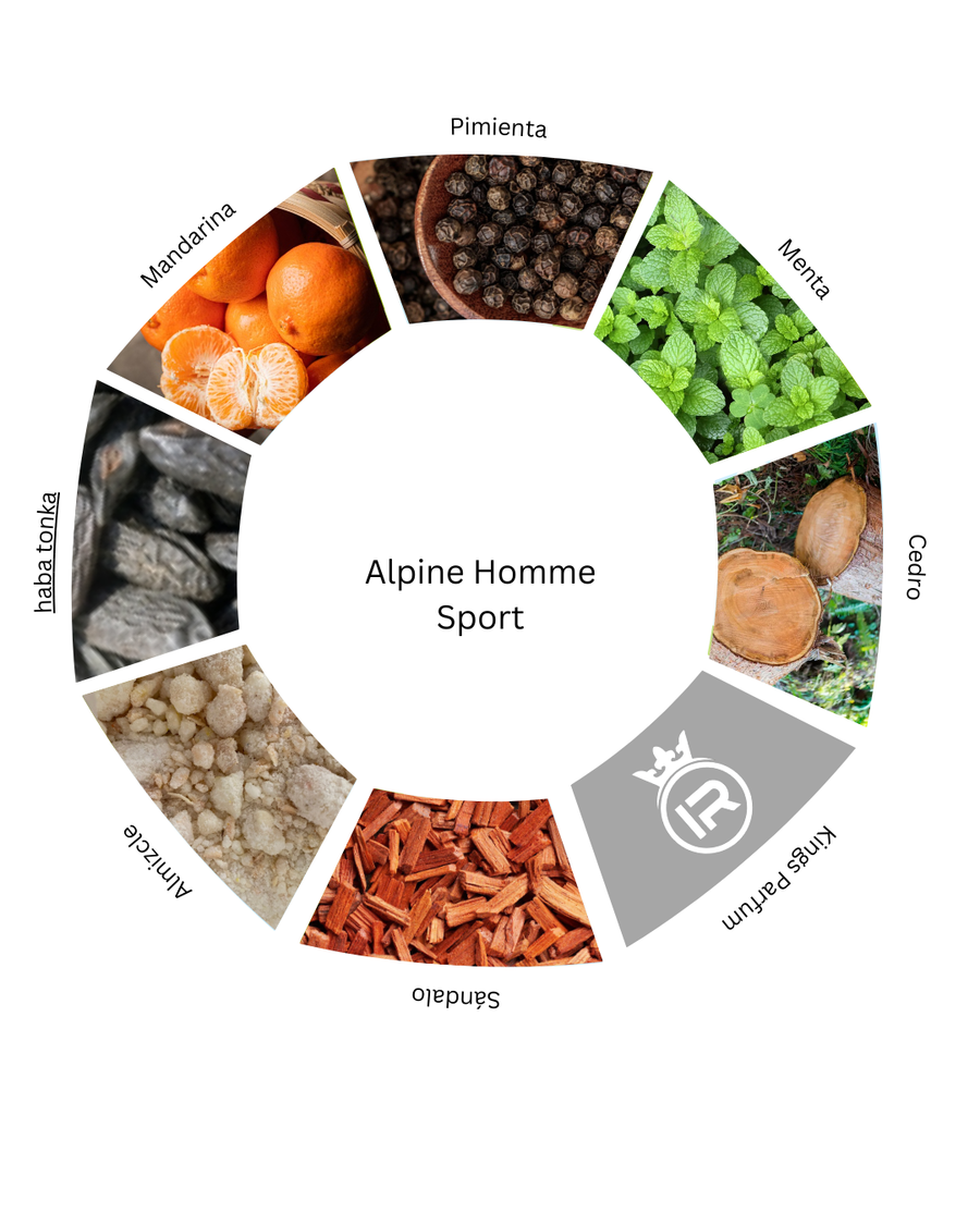 Notas olfativas de Alpine Homme Sport Maison Alhambra