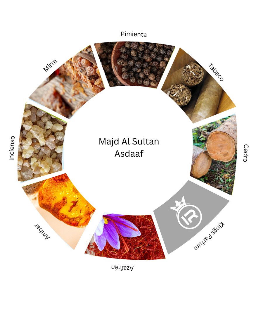 Notas olfativas de Majd Al Sultan Asdaaf
